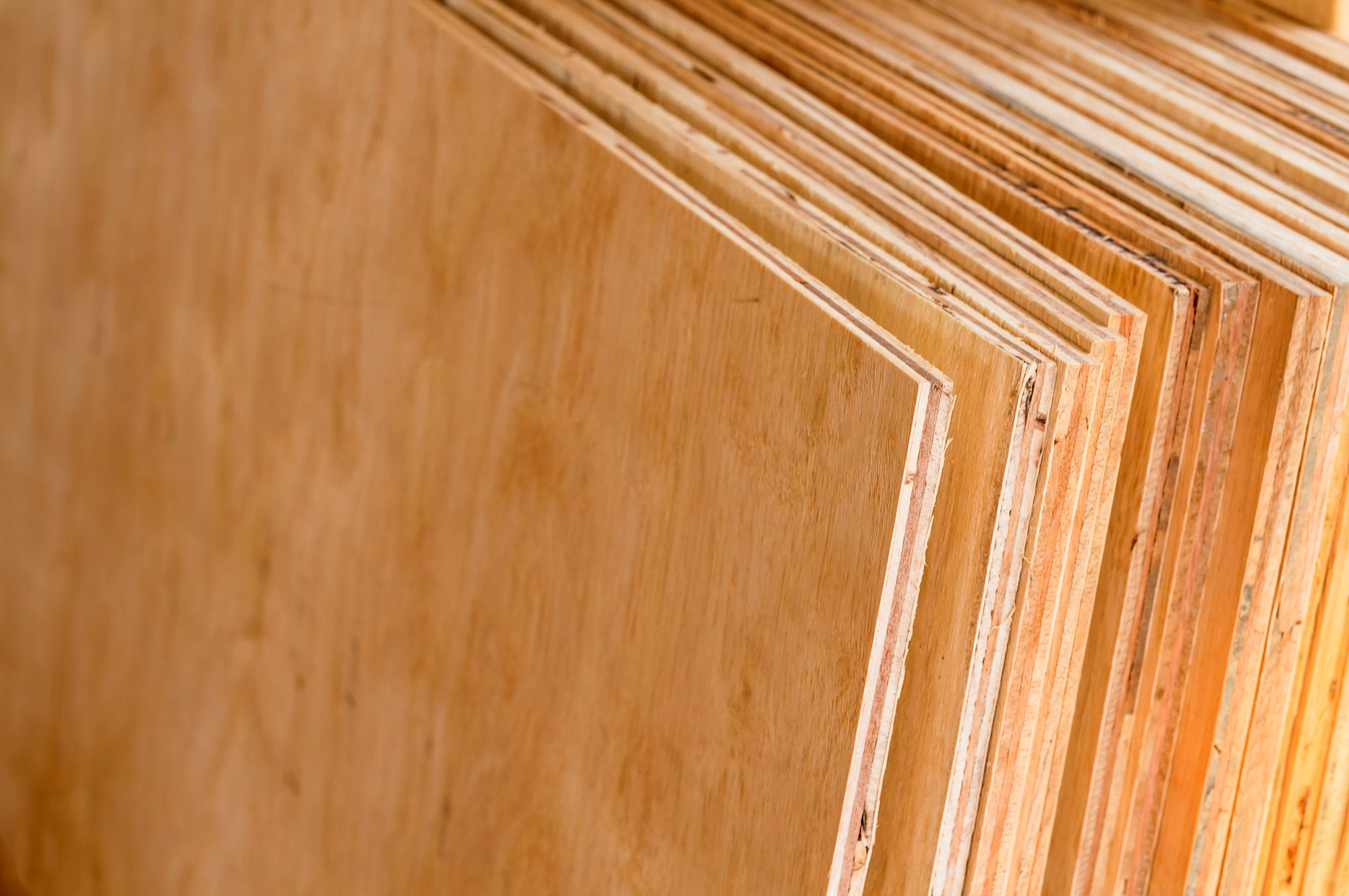 ¿Qué madera elegir para tu proyecto? Guía para conocer los principales tipos y usos